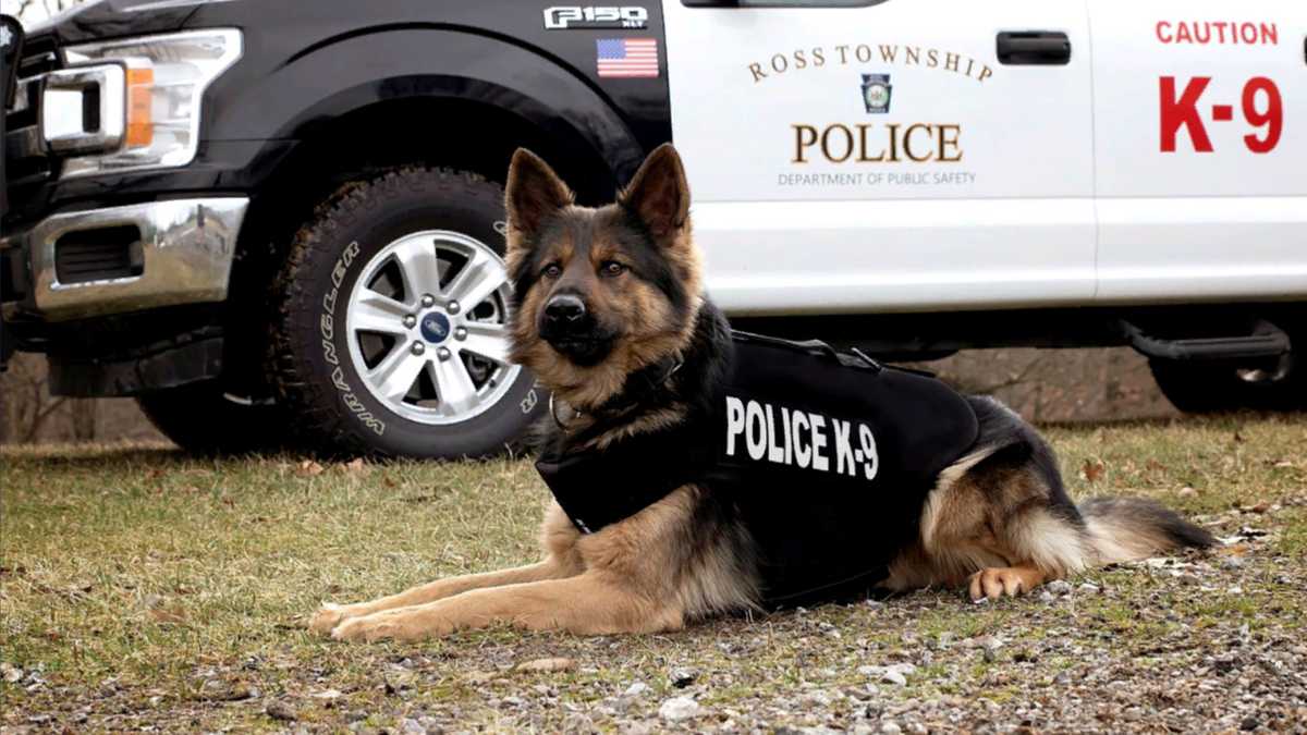 Ross Township Police K-9 Remembered