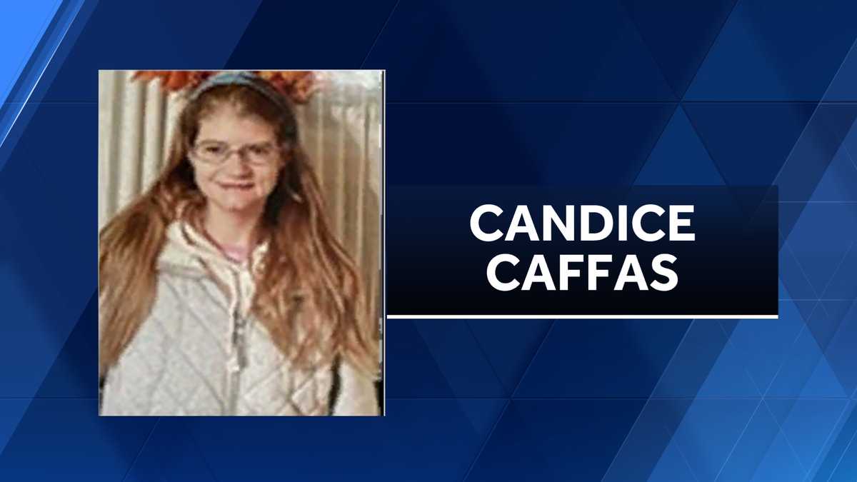 State police searching for missing endangered Meadville woman who hasn