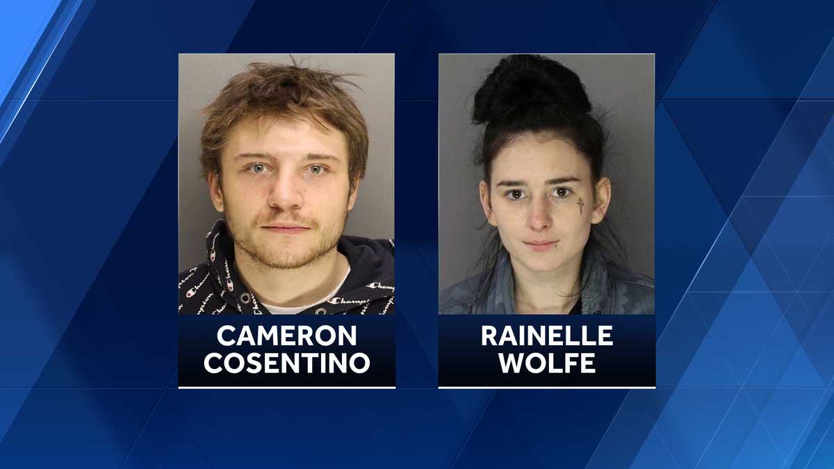 Findlay Township police look for two people accused in vehicle break-ins