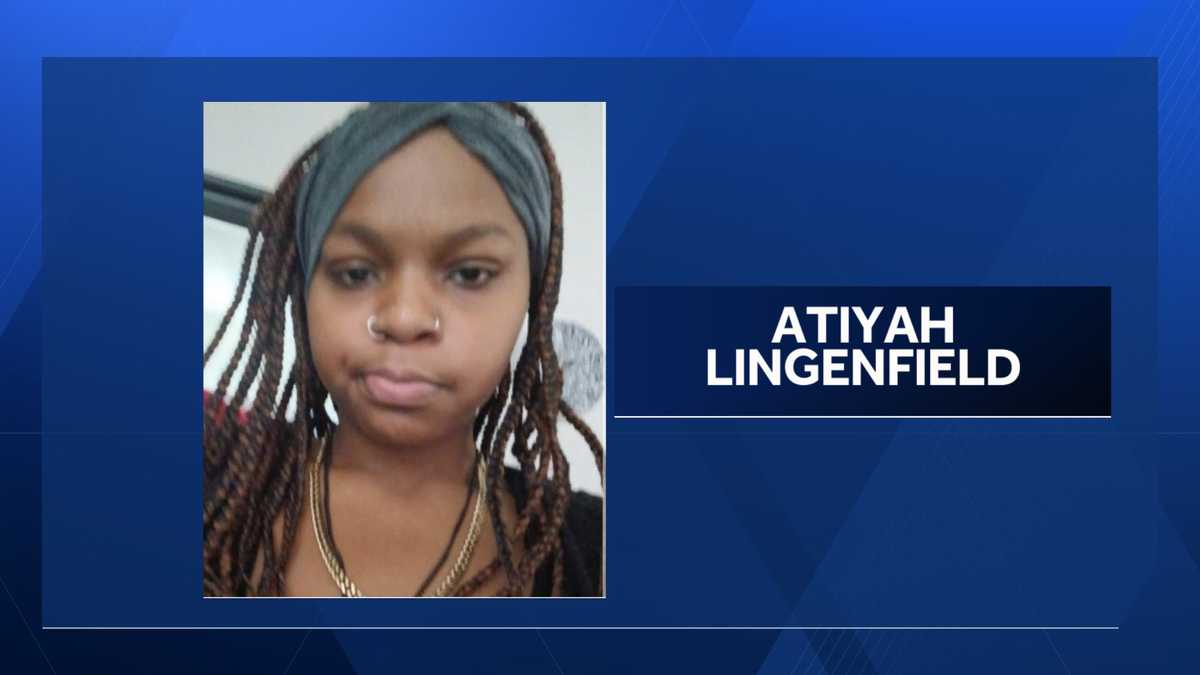 Police: Missing teen from McKees Rocks may be attempting to travel to Ohio