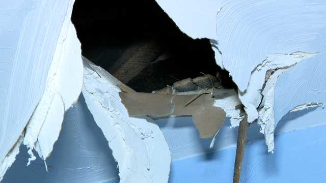 Washington County, Pa., wanted man falls through ceiling - Vimarsana News