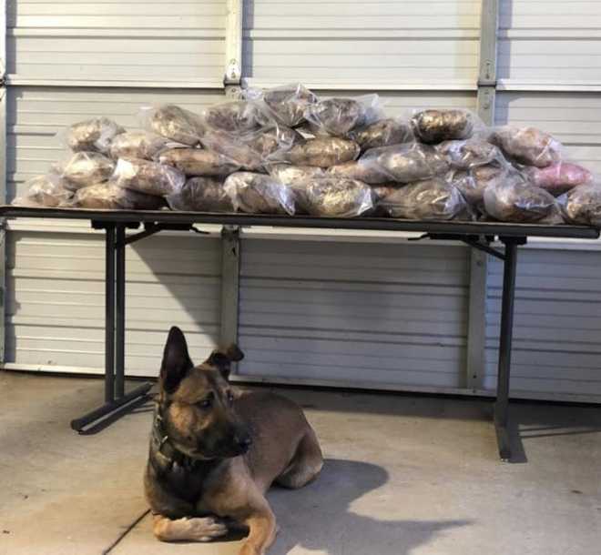 South Carolina 88 pounds of meth found in storage unit