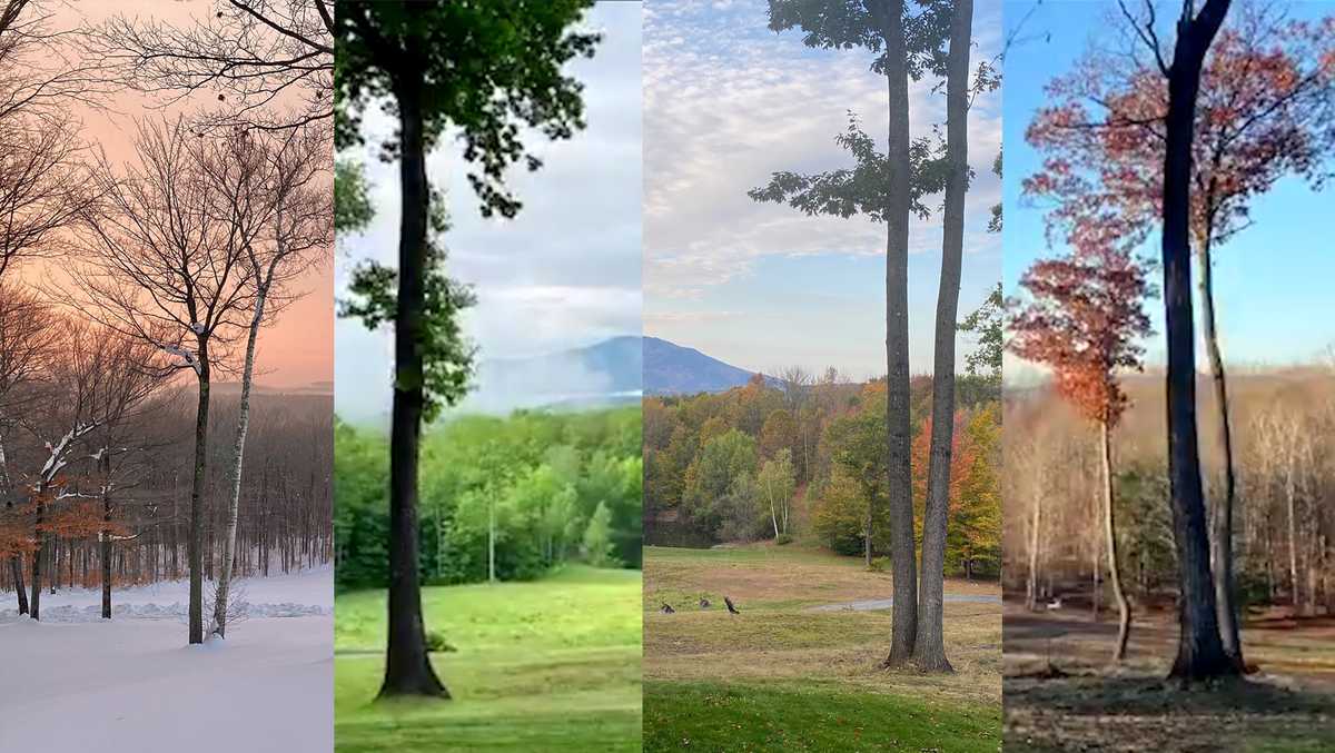 Vermont resident compiles photographs of mountain view every week in 2020