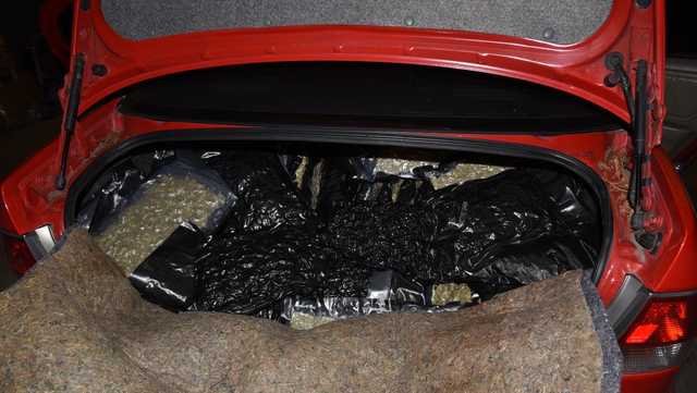 Douglas County K-9 unit sniffs out marijuana-filled suitcases in traffic stop - Vimarsana News
