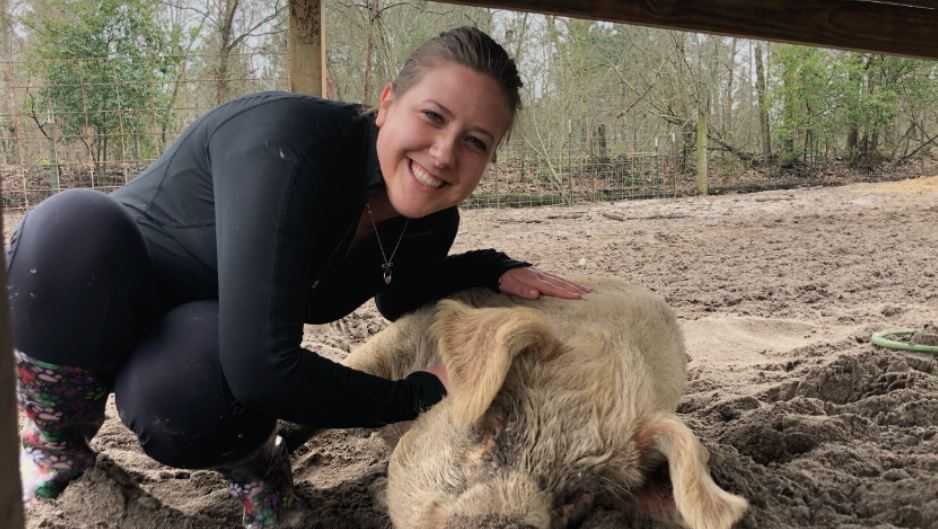 South Carolina animal sanctuary farm in search of piggy cuddlers in(02)