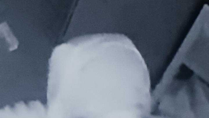 Reward offered in Hampton Piggly Wiggly and pharmacy burglary suspect search