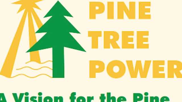Pine Tree Power campaign releases 'vision' plan - Vimarsana News