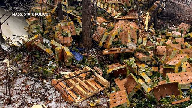 Truck carrying thousands of pineapples crashes on Massachusetts highway - Vimarsana News