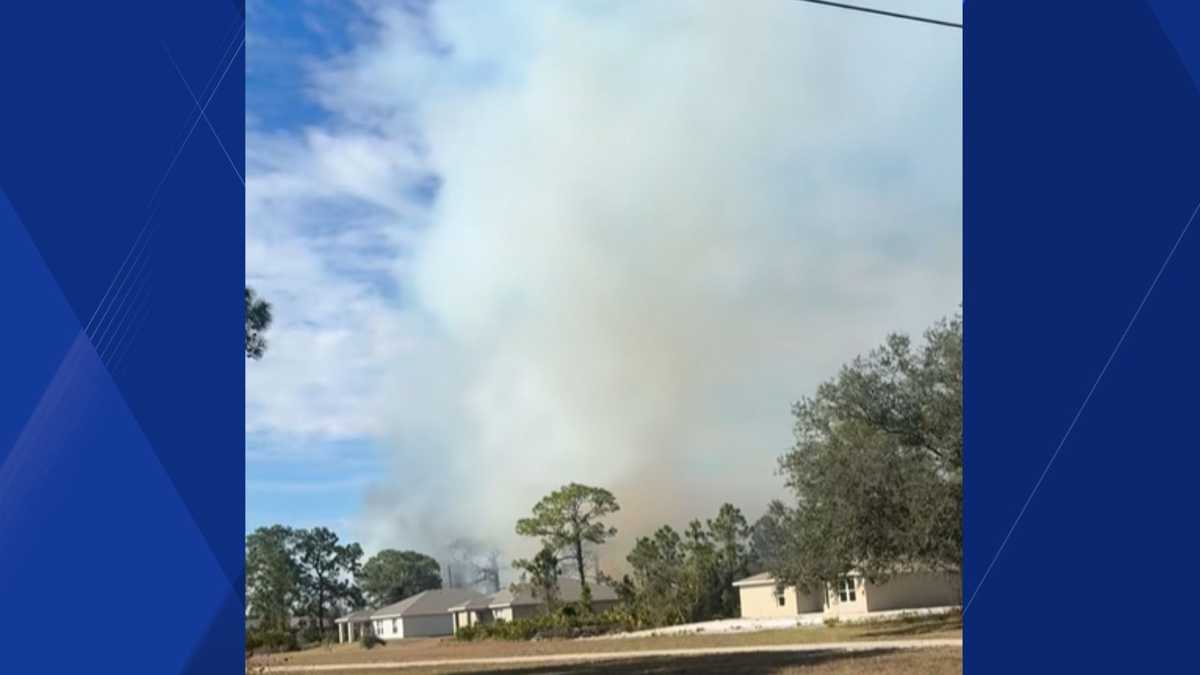 Crews battle brush fire near Pinetree Circle in Port LaBelle | SWFL.io