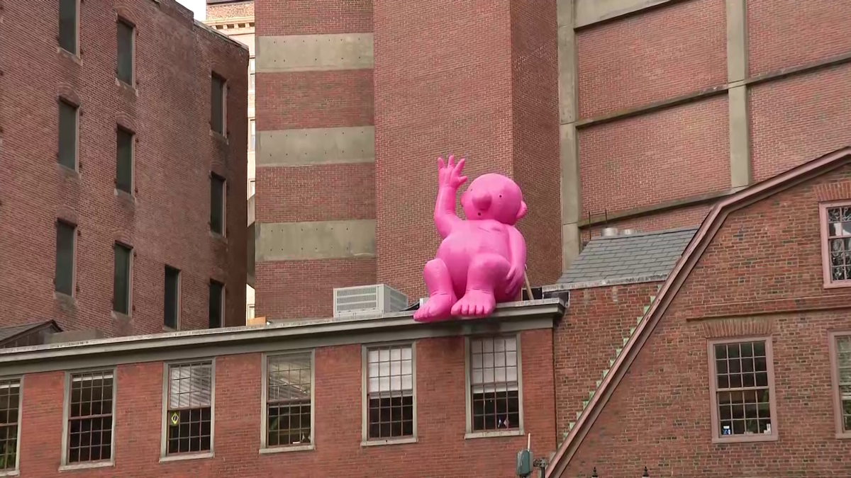 Who is Mr. Pink? Giant inflatable sculptures appear around Boston
