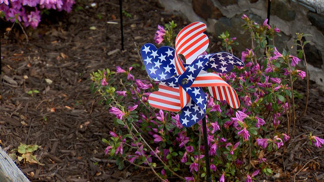'Pinwheels for Patriots' to honor military in Harford County - Vimarsana News