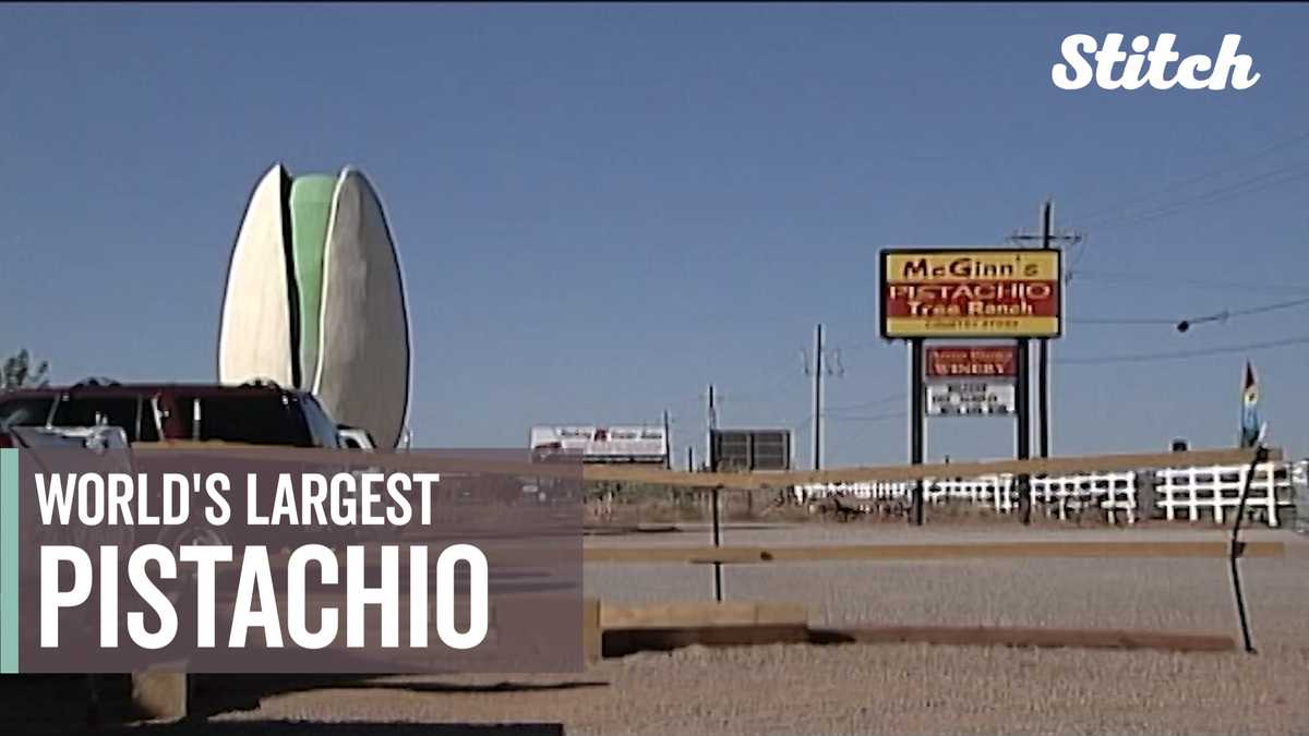 World's largest pistachio stands tall in desert, stars on silver screen