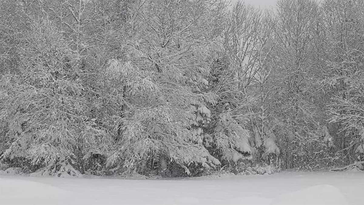 New Hampshire snow totals for April 910, 2020