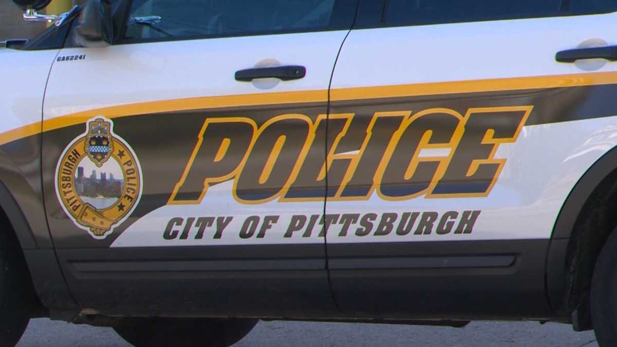 Pittsburgh Police Missing Woman Found Safe 4624