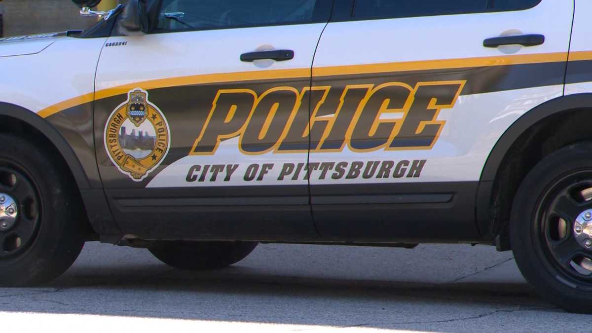 Pittsburgh Citizen Police Review Board gets good marks in audit