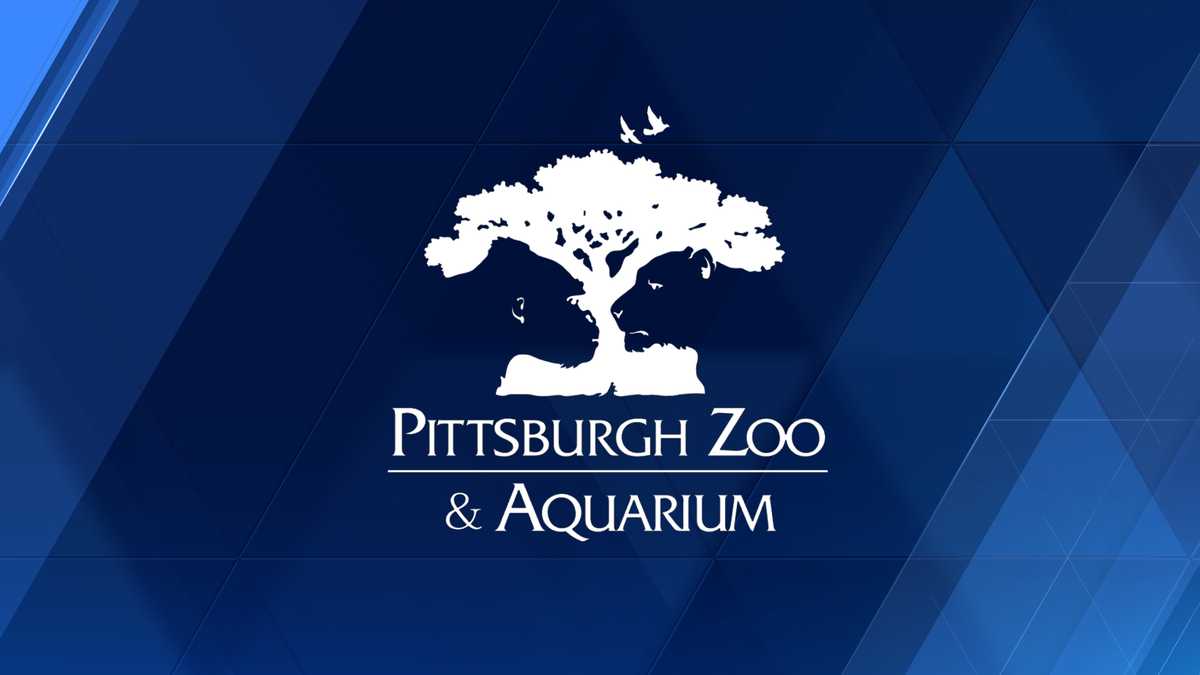 Pittsburgh Zoo free admission for Electronic April