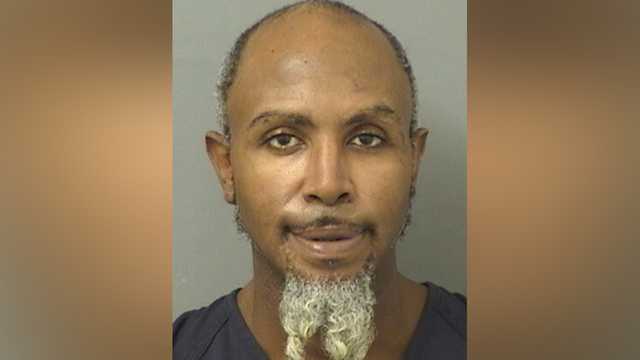 Florida man claims 'stand your ground' defense in death of iguana - Vimarsana News