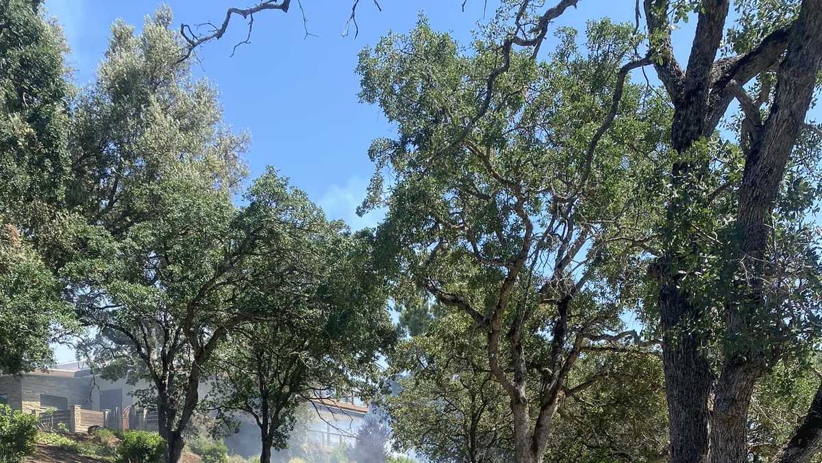 Fire crews responding to vegetation fire in Placer County