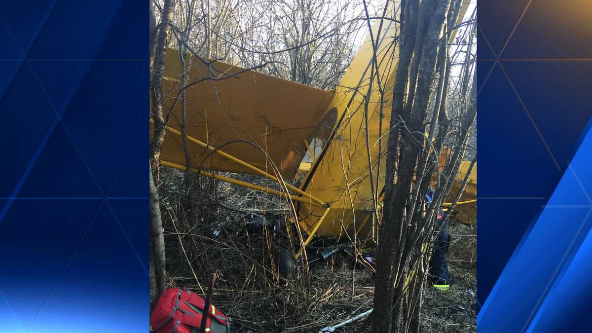 Two injured in Palmyra plane crash