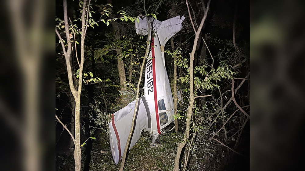 Georgia 2 People Taken To The Hospital After Plane Crash   Plane 6526b215d6e7c 