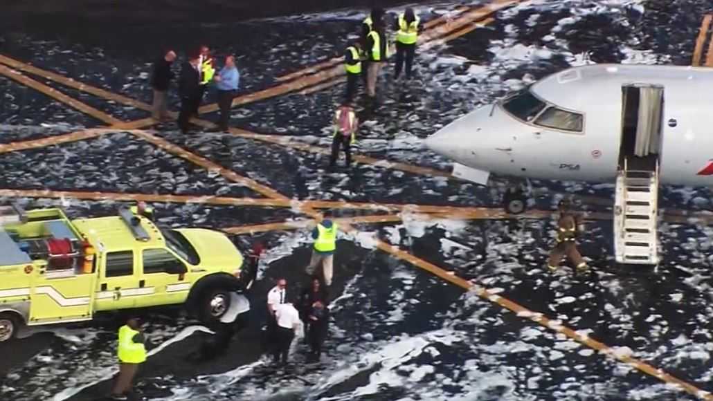 Plane hits deer on takeoff