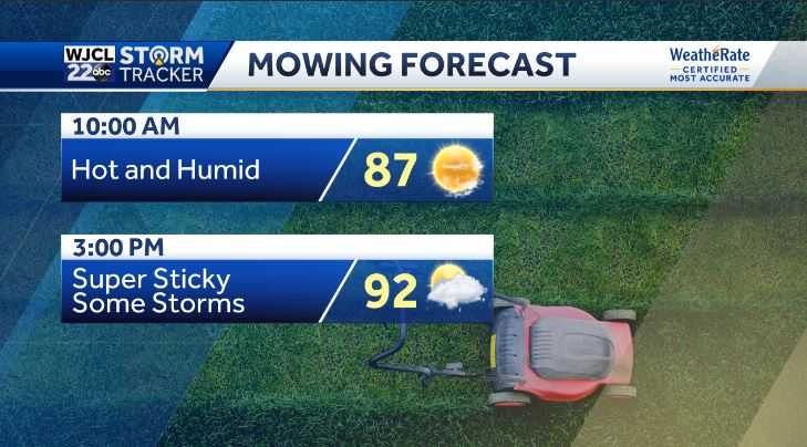 Strong even severe storms in the forecast. Here's the timing. - WJCL