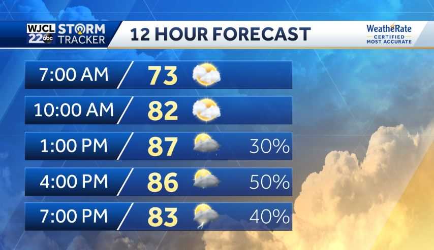 Staying steamy but not sunny, storms returning to the forecast - WJCL