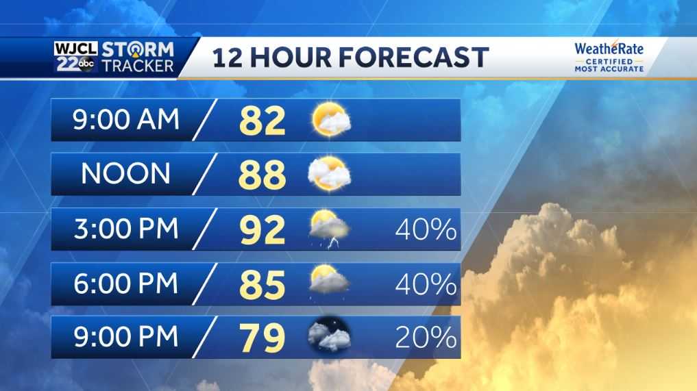 A hot afternoon with showers and storms after 1 pm - WJCL