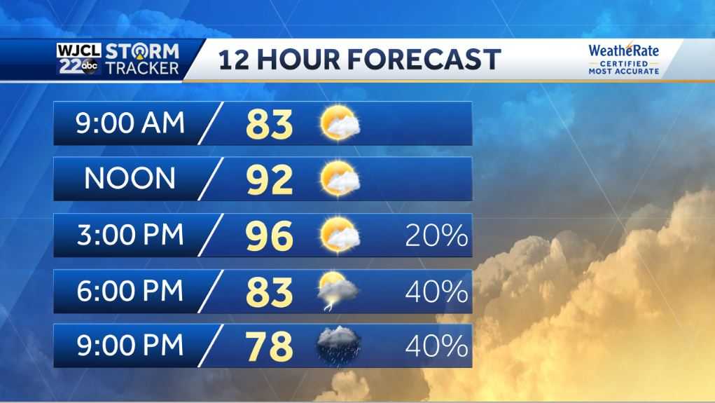 Showers and storms after 2 pm. Severe storms possible - WJCL