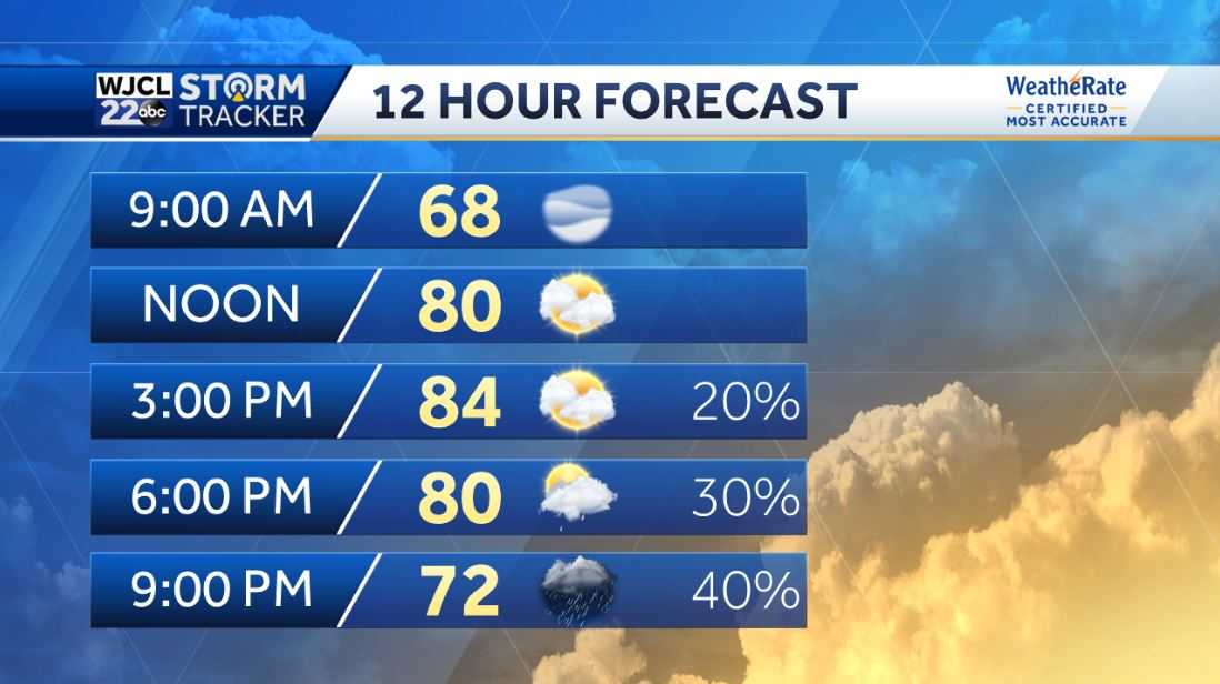 Warm this afternoon with showers and thunderstorms this evening - WJCL