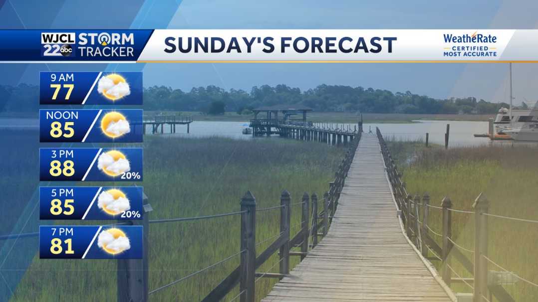 Warm and humid for today with shower or storm after 2 pm - WJCL