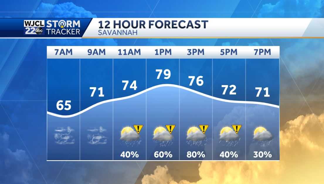 Rain and gusty winds today with severe thunderstorm possible - WJCL