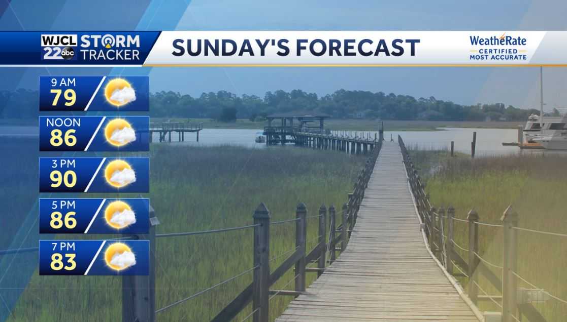 Warm and dry for Sunday but much-needed rain is in the forecast - WJCL