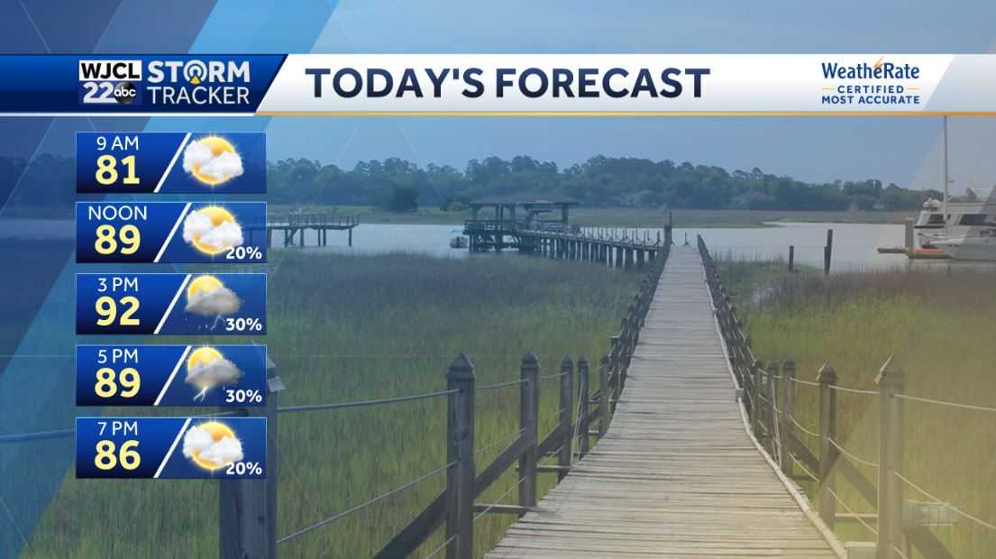 Another humid afternoon with scattered showers or thunderstorms - WJCL