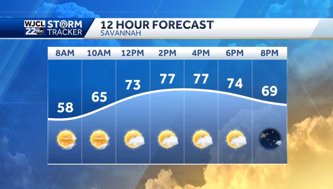 Warm weather this weekend with spotty showers - WJCL