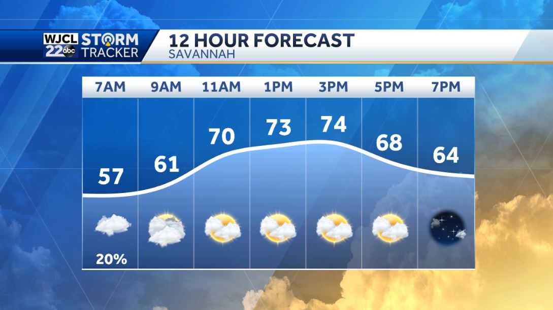 Warm December weather is in the forecast - WJCL