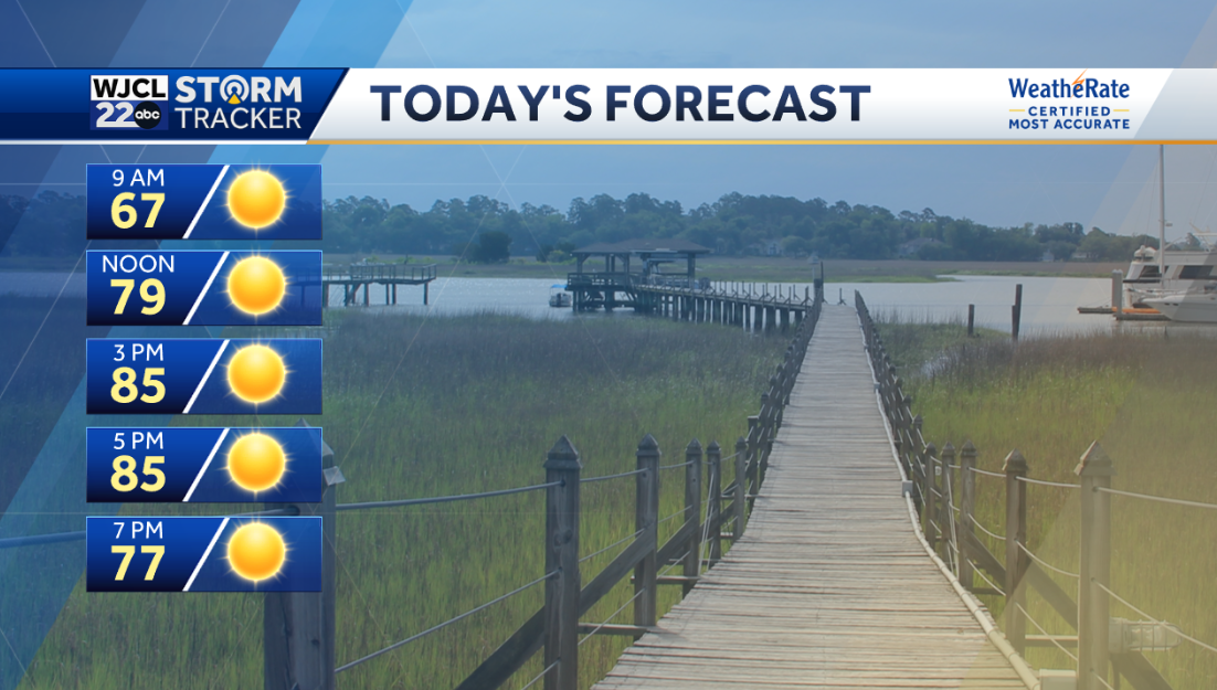 Beautiful spring weather today but storms possible this weekend - WJCL