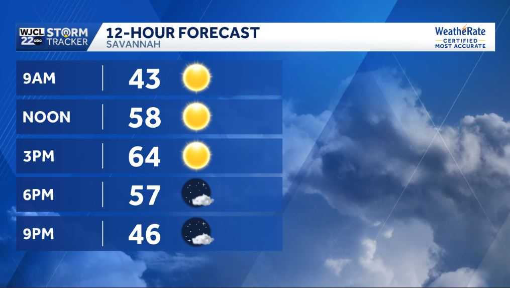Sunshine for New Year's Day, but tracking rain by the weekend - WJCL