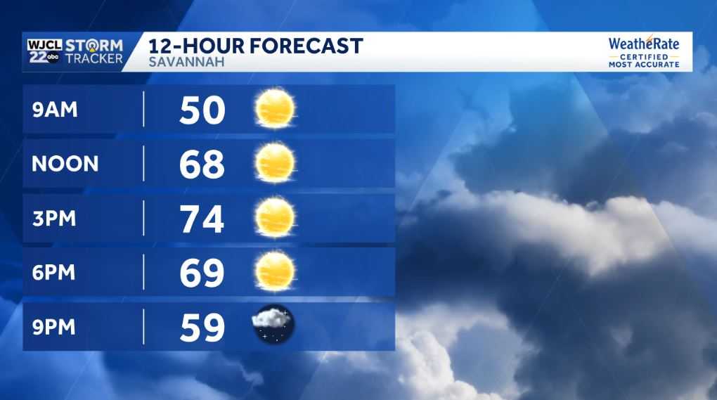 Spring-like for the Savannah area, plus showers by tomorrow - WJCL