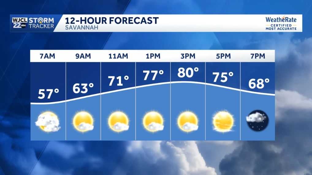 Savannah: Spring-like weather through the weekend - WJCL