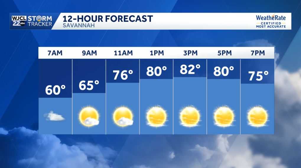 Dry and warm weather continues for Coastal Georgia and Lowcountry - WJCL