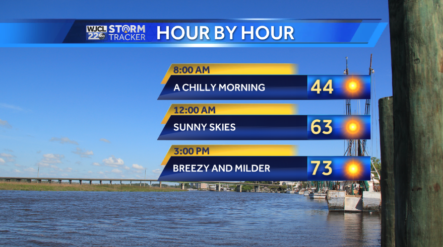 Another breezy afternoon with lots of sun - WJCL