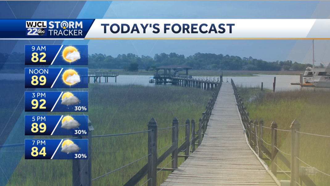 A hot one this afternoon with shower or storm possible - WJCL