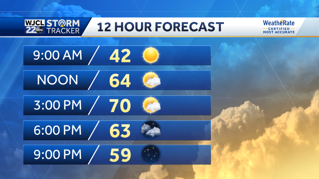 Warm January weather in the forecast - WJCL