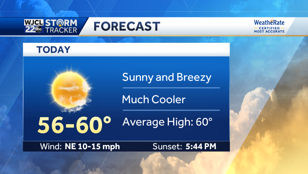 Milder this weekend with showers early Sunday morning - WJCL