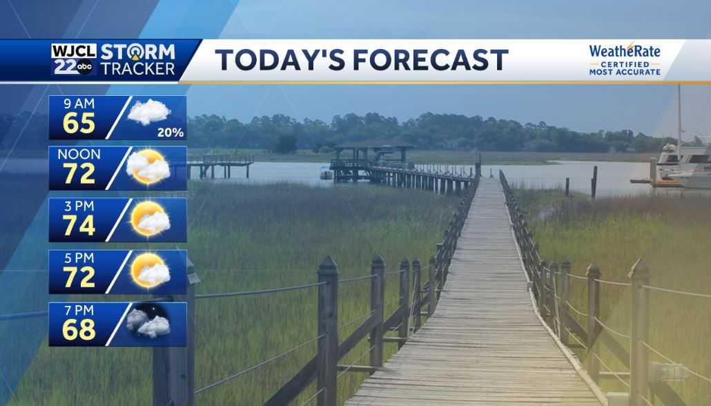 Sunshine and mild weather in the forecast throughout the weekend - WJCL