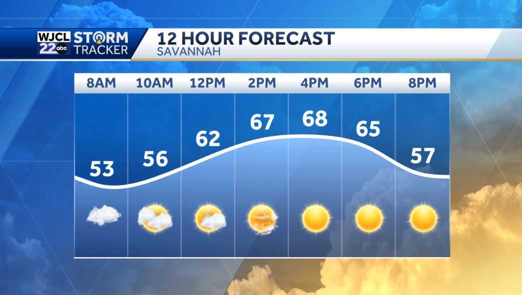 Lots of sunshine today but gusty northwest winds - WJCL