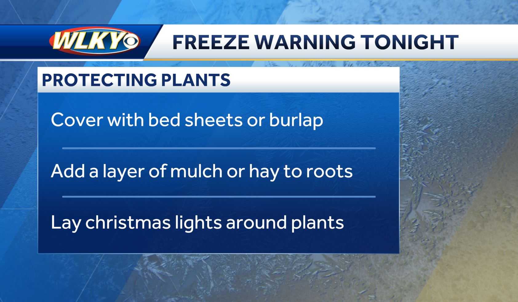 Freeze Warning Around Louisville: When To Expect Sub-freezing Temperatures