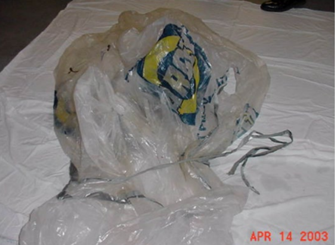 Plastic bag found near Laci's remains