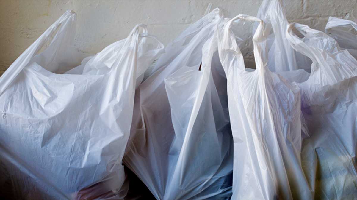 Bill seeks to ban plastic bags, Styrofoam containers in Kentucky